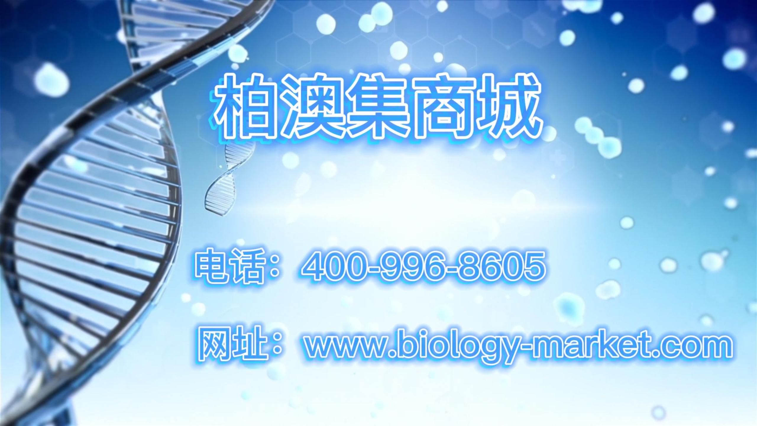 柏澳集商城｜上線啦