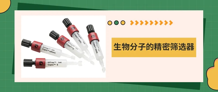 離子交換層析：生物分子的精密篩選器