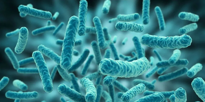 生物制藥潔凈密碼：內(nèi)毒素檢測與控制策略全解析