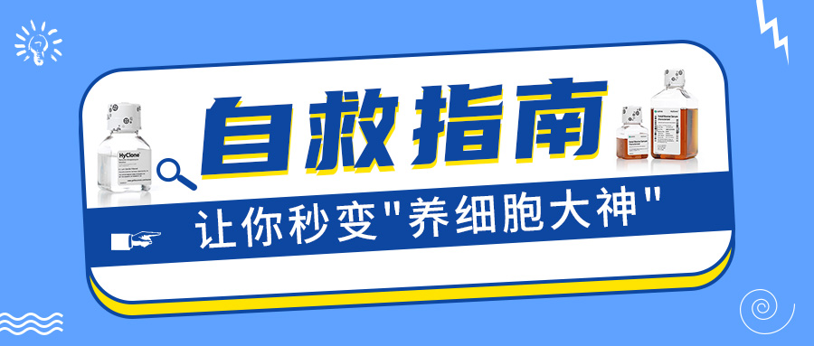 細胞擺爛？這份自救指南讓你秒變養細胞大神