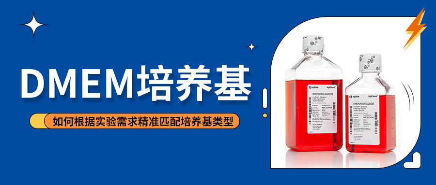 DMEM培養基選擇指南 | 從基礎到應用的全面解析—如何根據實驗需求精準匹配培養基類型