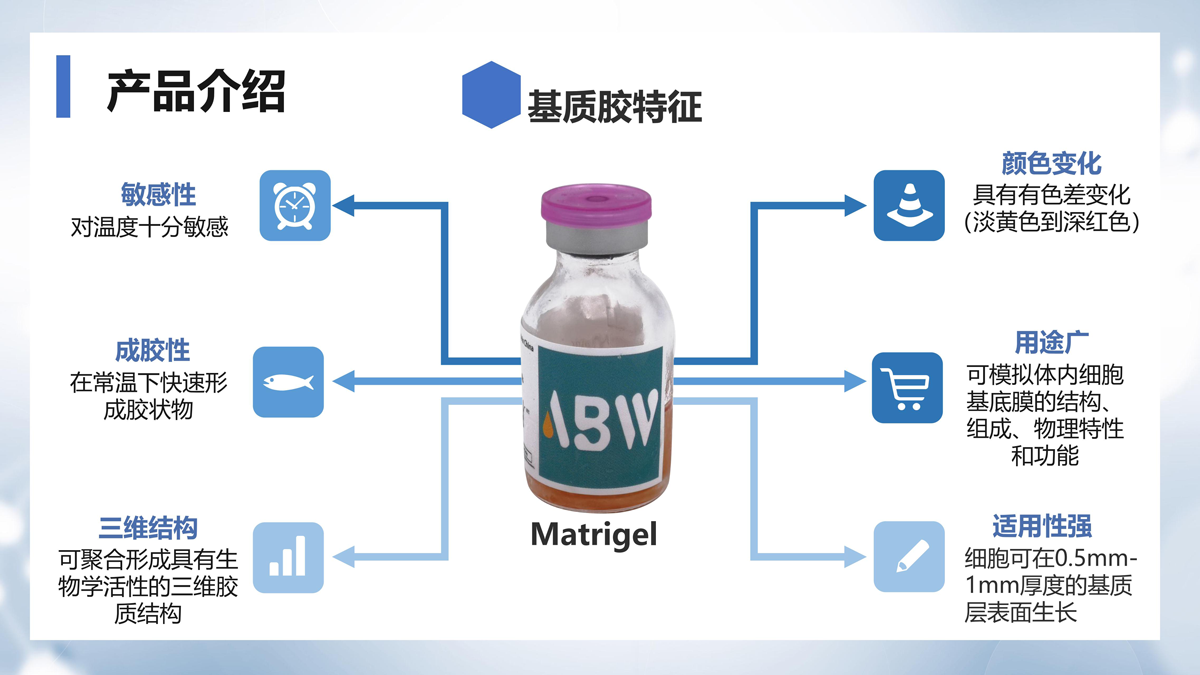 ABW基質(zhì)膠產(chǎn)品介紹_05.png