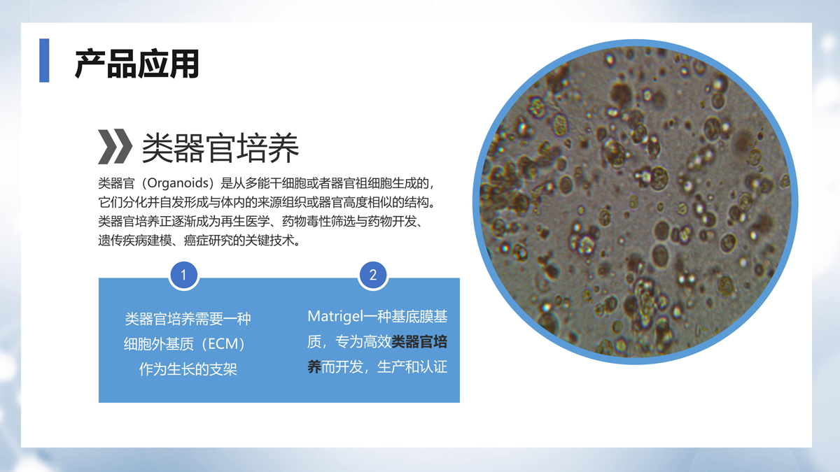 ABW基質(zhì)膠產(chǎn)品介紹_11.png