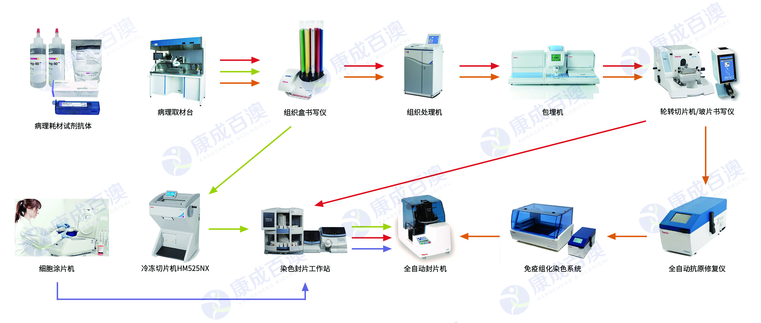 2022.11 病理 整體解決方案流程圖片 置入 - 20220919.jpg
