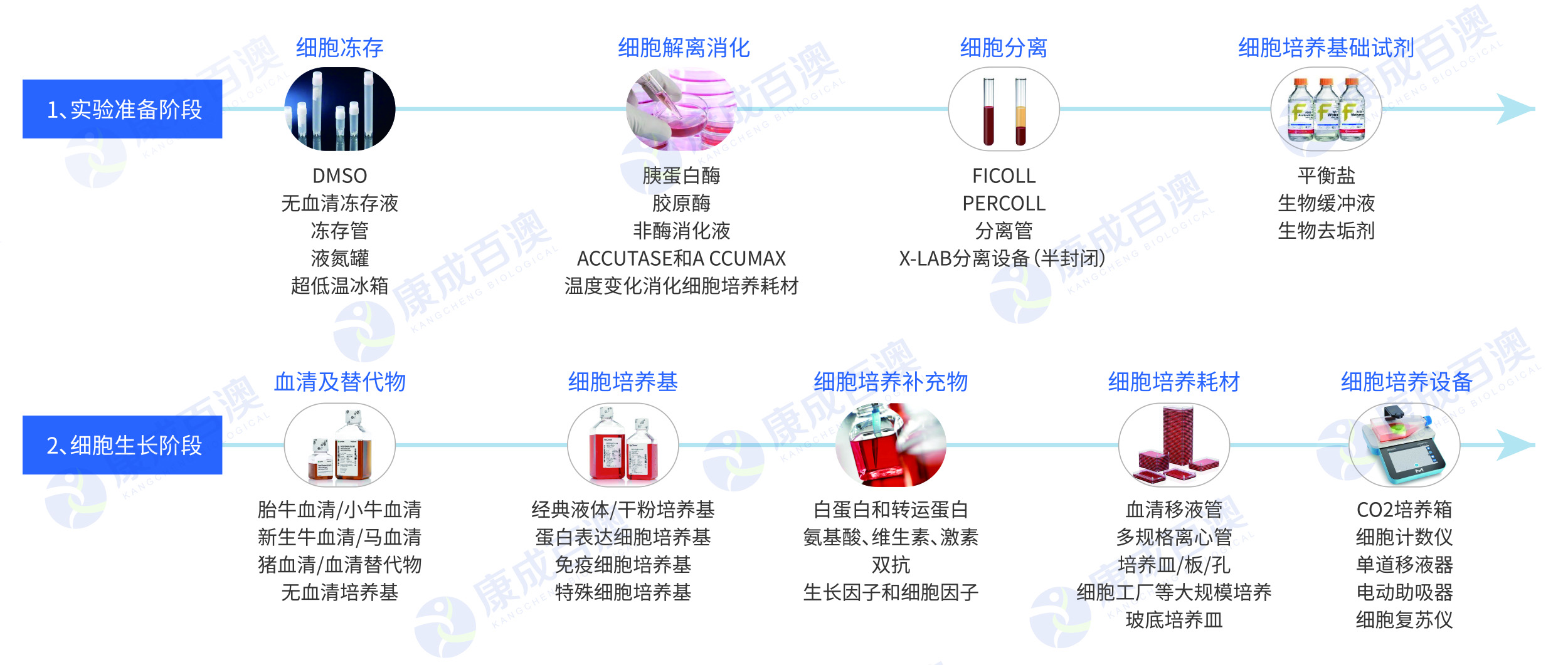 2023.01 細(xì)胞生物學(xué).jpg